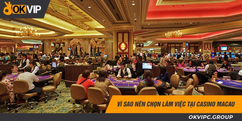 Lý do nên chọn làm việc tại casino Macau
