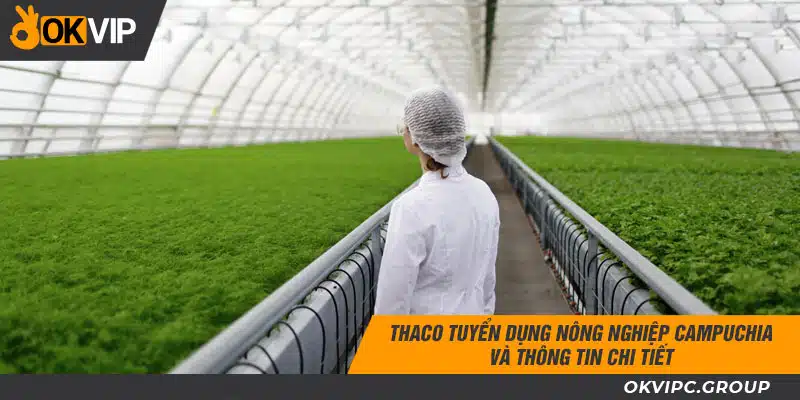 Thaco tuyển dụng nông nghiệp Campuchia và thông tin chi tiết
