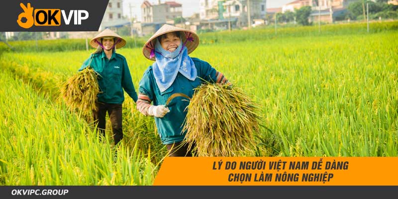 Lý do người Việt Nam dễ dàng chọn làm nông nghiệp